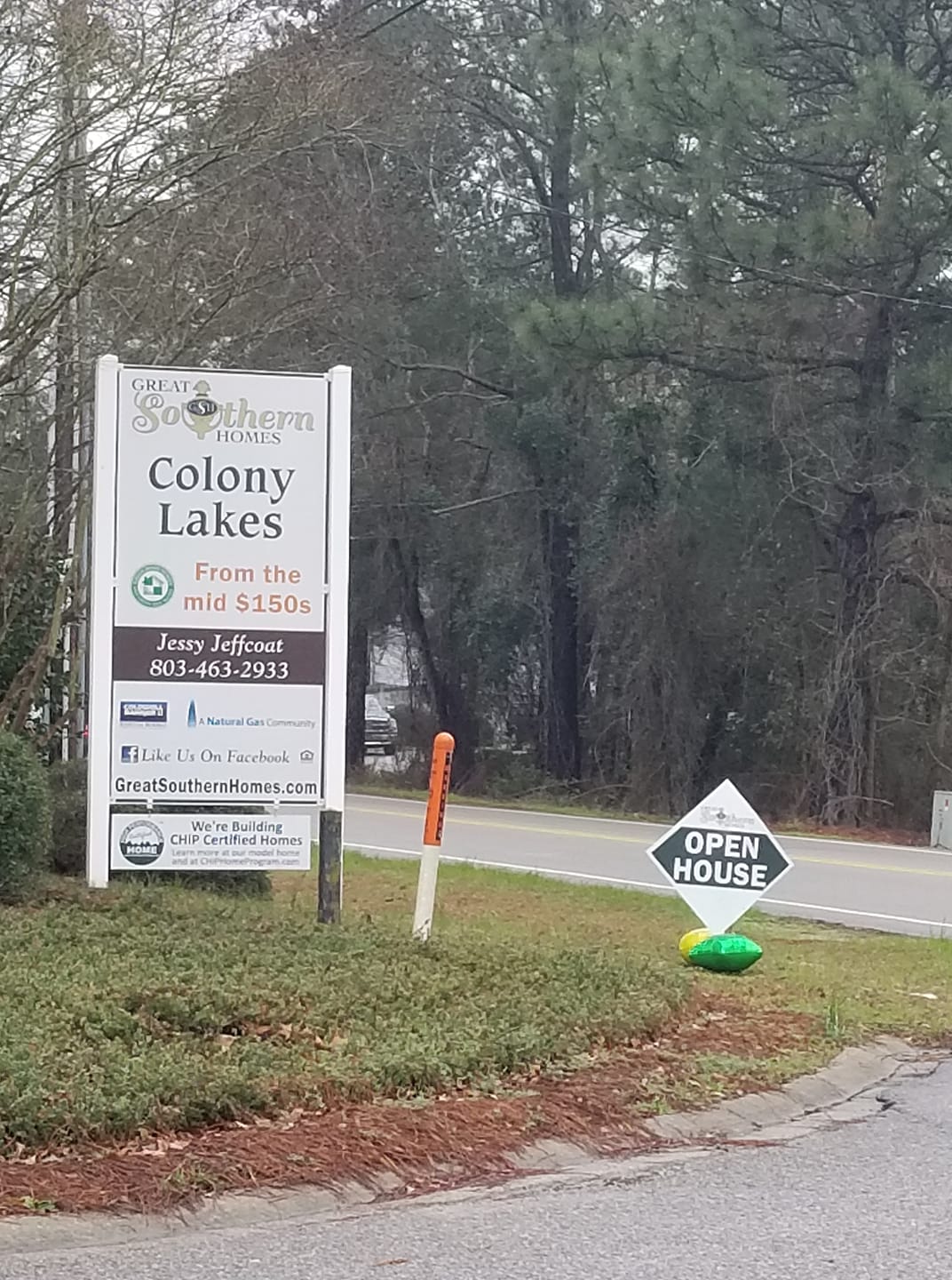 Welcome Home to Colony Lakes in Redbank - Lexington